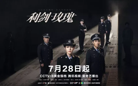 《利剑・玫瑰》，女生必看不可错过的电视剧