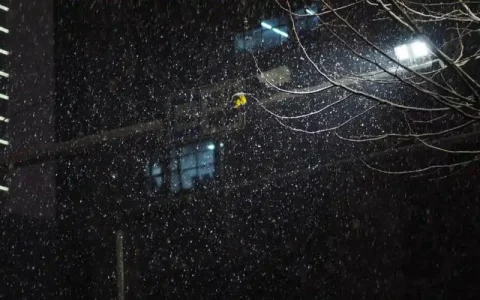 某校•夜雪