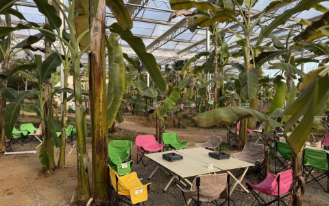 曲阜师范大学地理与旅游学院：从单一生产到多元体验：探索农文旅融合中的耕地功能转型