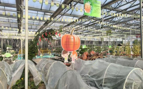 曲阜师范大学：耕旅融合促振兴，青春实践绘新篇