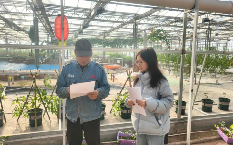 曲阜师范大学：阡陌文旅焕新颜，守土赋能续乡情