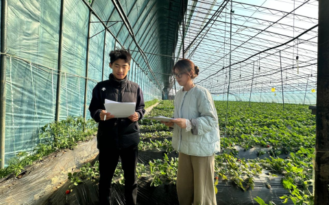 曲阜师范大学：实地调研农文旅，深耕守护耕地魂