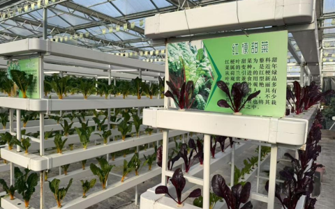 曲阜师范大学：以农固本，文旅生金