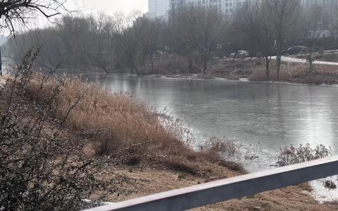 曲阜师范大学：破解耕碎桎梏，赋能黄河农兴