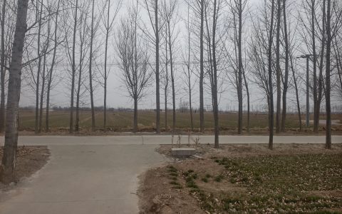 流转声中辨忧乐 黄河岸上写春秋