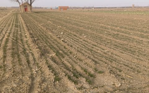 土地流转活水来 生态廊道筑粮仓