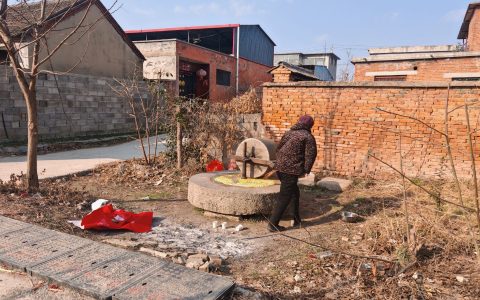 绿碳赋能乡村路，土地流转焕焦庄新颜