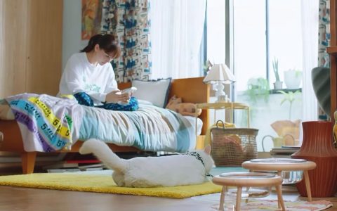 年轻人不买房，花几十万租房