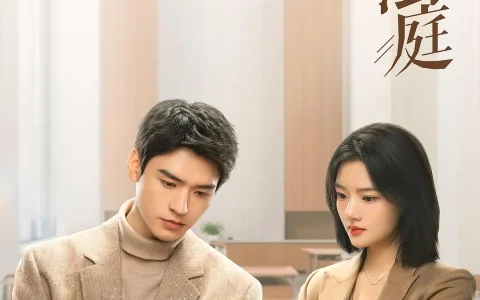 法理之下，人情之上：《家事法庭》剖开最真实的人间烟火