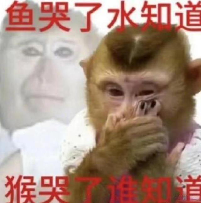 被快手砸了5.7亿的A站，成了沉默的“赛博坟场”。