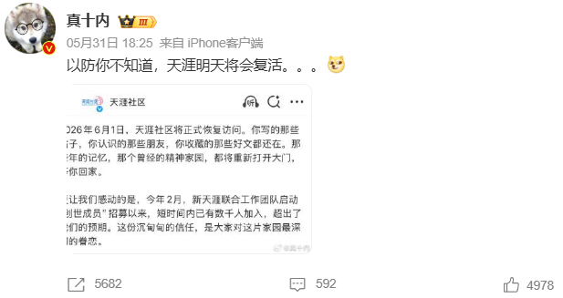 打赢了复活赛的天涯,还能火几天?