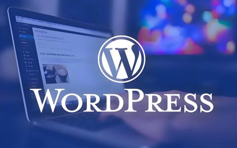 WordPress 主题二次开发：子主题与钩子