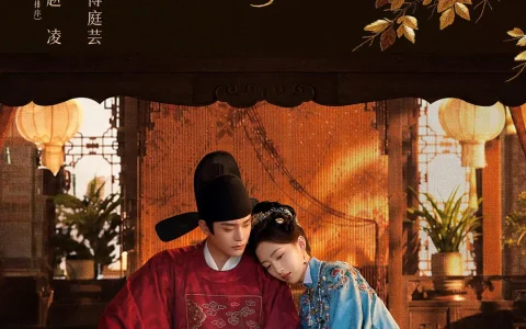 豆瓣 7.1 的《花开锦绣》：5 星和 2 星，看的是两部不同的剧
