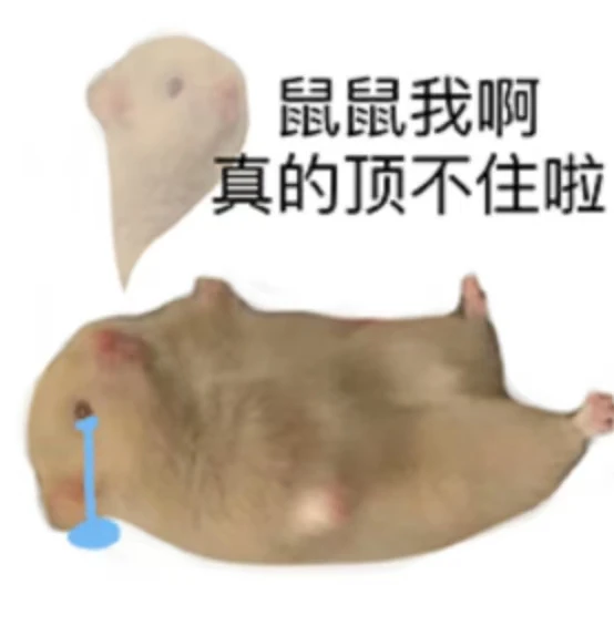 当代脆皮年轻人该何去何从?