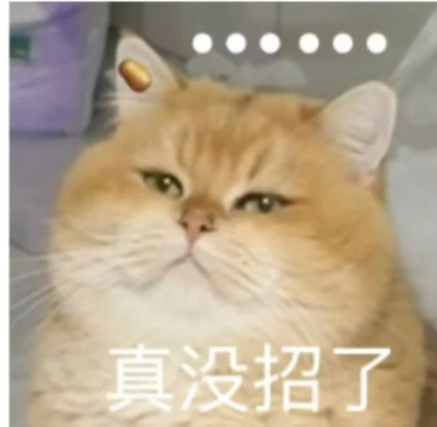 当代脆皮年轻人该何去何从?