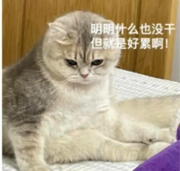 当代脆皮年轻人该何去何从？