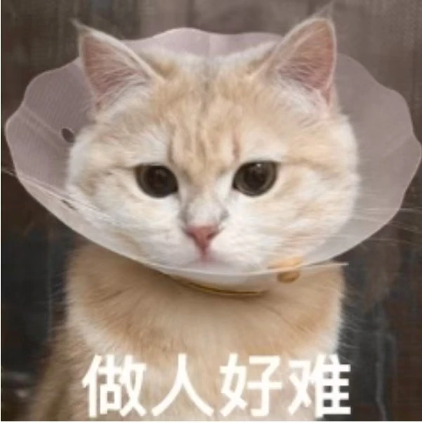 当代脆皮年轻人该何去何从?