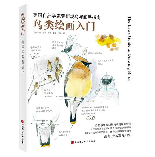 先别急着画鸟，先学会怎么把眼睛借给它——读劳斯《鸟类绘画入门》